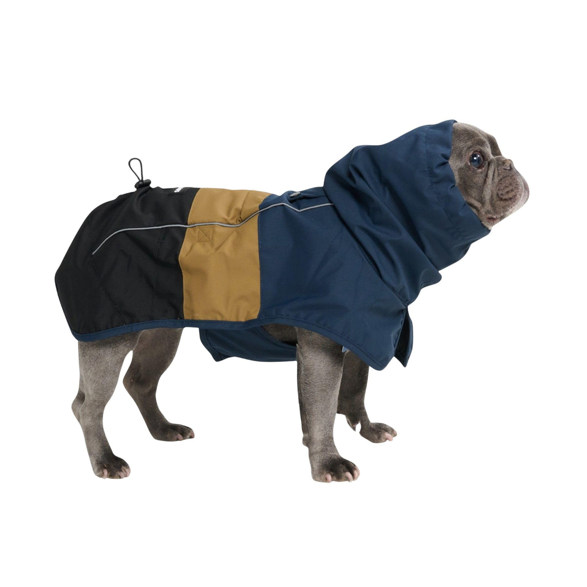 Spark Paws raincoat in blue with full-coverage design keeps dogs dry on walks.