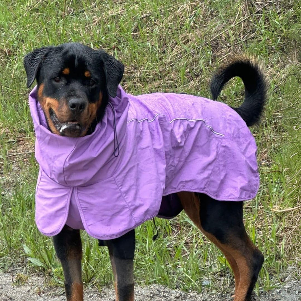 Spark Paws raincoat neck-wrap adjustable for neck protection