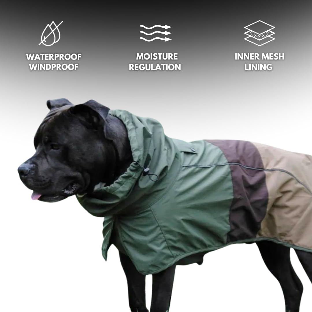 Spark Paws raincoat with reflective strips for safer nighttime visibility