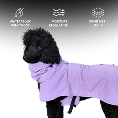 Spark Paws raincoat shows reflective strips for night visibility