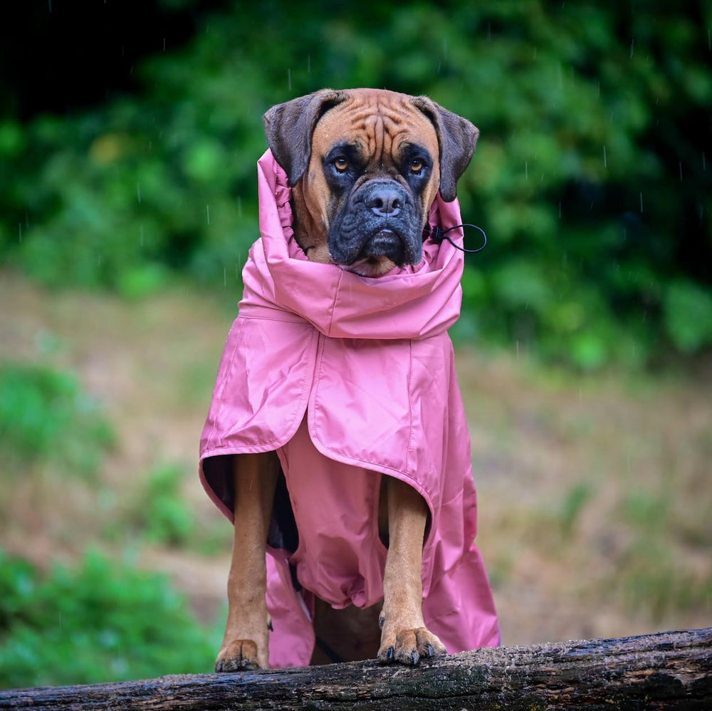 Spark Paws Sea Pink hind-leg toggle enables simple bathroom breaks.