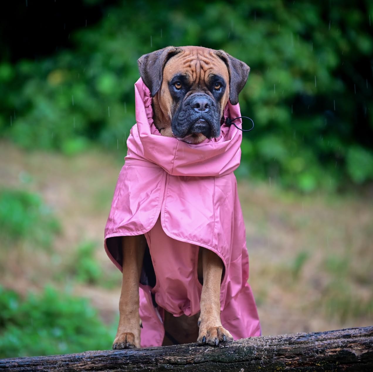 Spark Paws Sea Pink raincoat breathable mesh lining for comfort.
