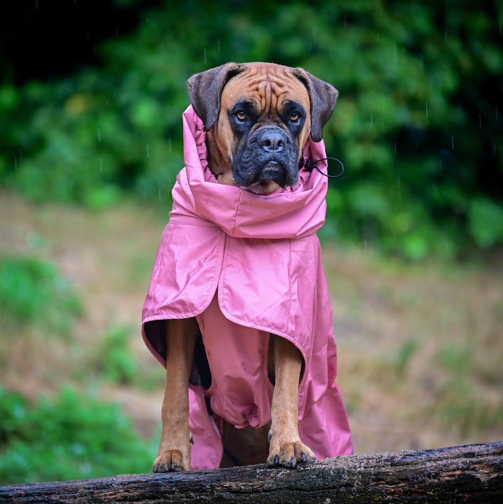 Spark Paws Sea Pink raincoat hind-leg toggle for easy bathroom breaks.