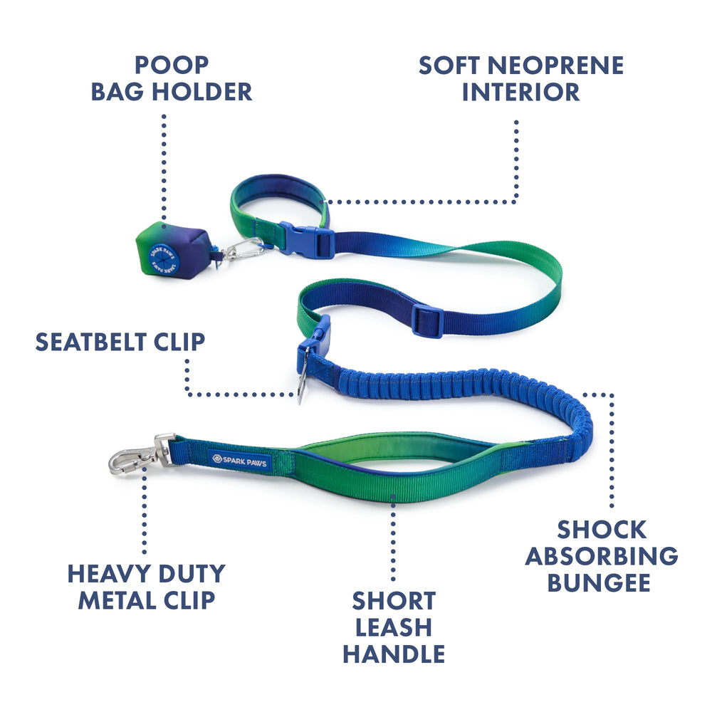 Spark Paws Car Seatbelt Clip keeps dogs secure during car rides.