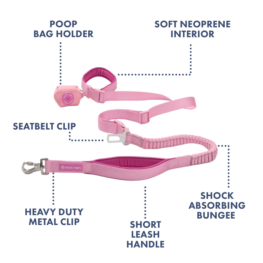 Spark Paws seatbelt clip keeps dogs safe in cars