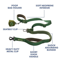 Spark Paws seatbelt clip leash for car travel safely restrains your dog