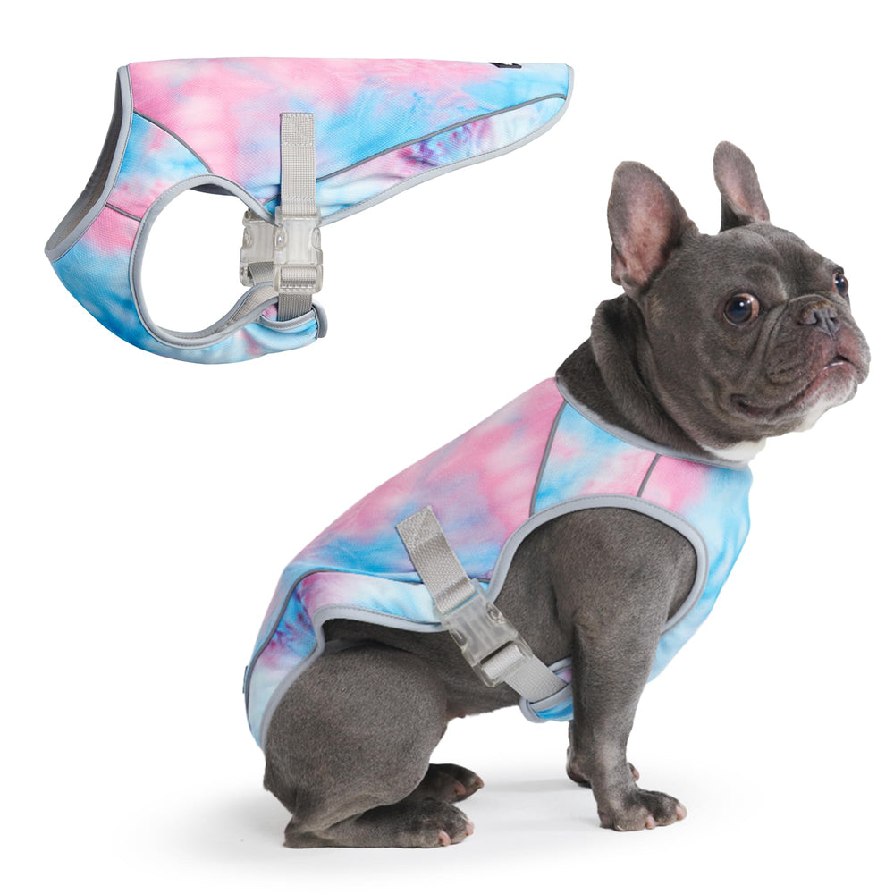 Spark Paws Snowcone Large Cooling Vest on a dog for instant relief