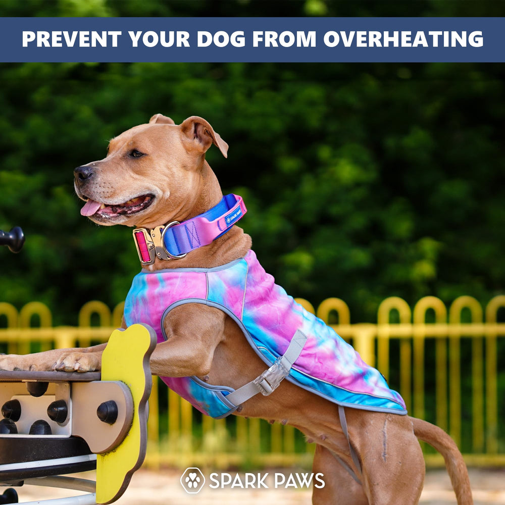 Spark Paws Snowcone Large Cooling Vest easy on off with side buckles