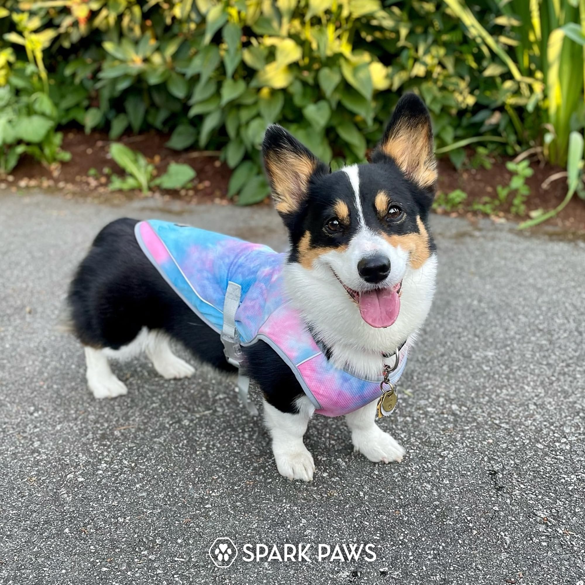 Spark Paws Snowcone vest delivering up to 60 minutes of cooling relief