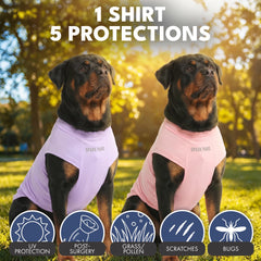 Spark Paws snug-fit design for a secure, full-range motion across breeds.