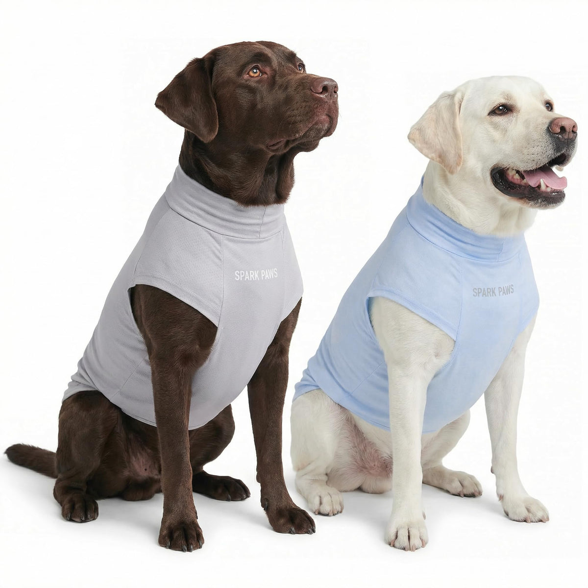 Spark Paws Sunblock dog t-shirt blue grey set front view showing SPF30 protection for active dogs