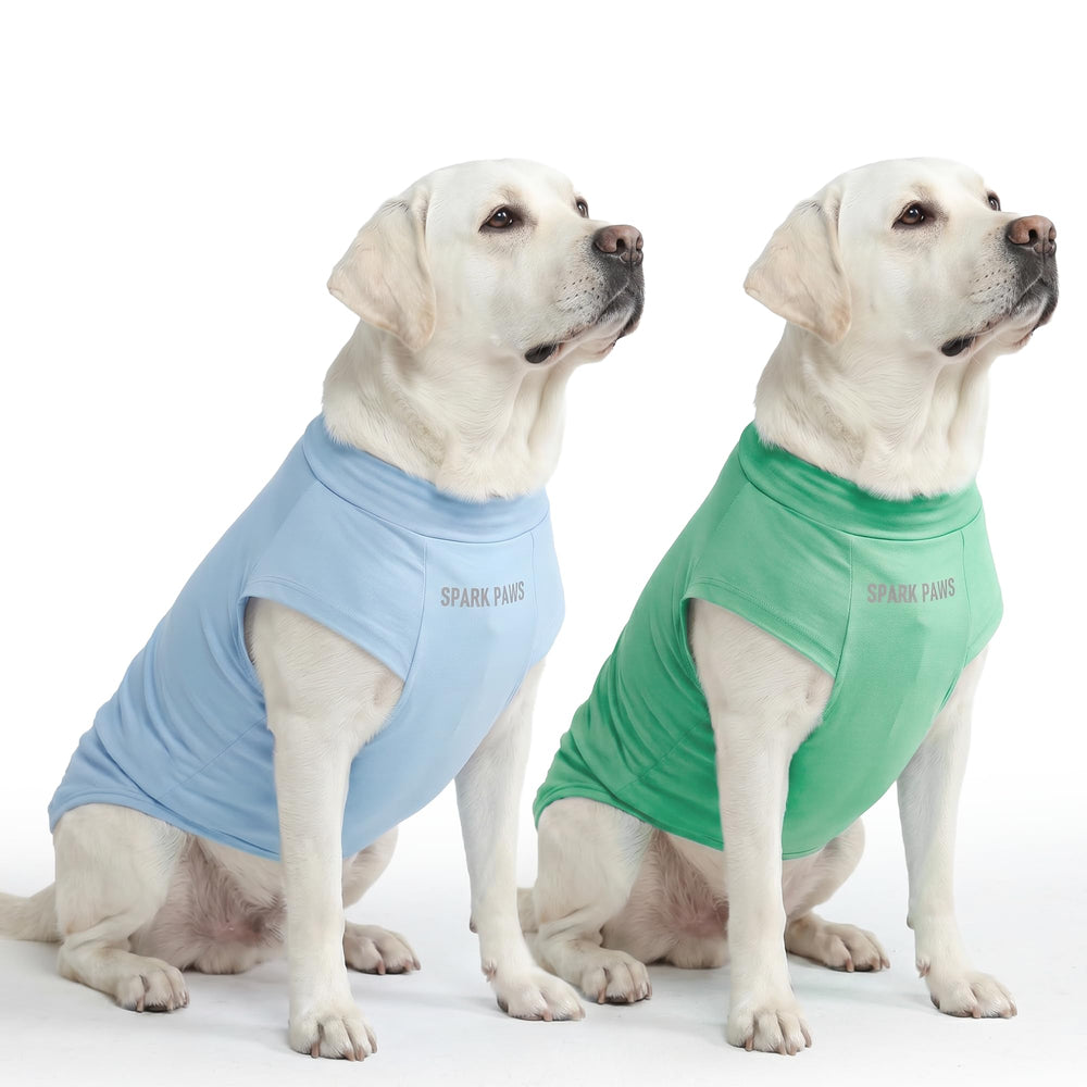 Spark Paws Sunblock Dog T-Shirt blue mint set of 2 on a playful pup for UV protection