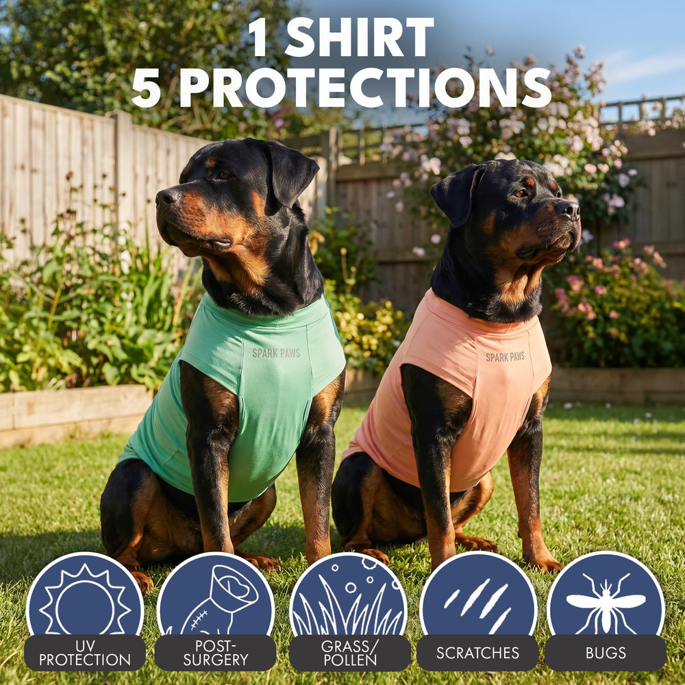Spark Paws Sunblock dog t-shirt shields dirt and allergens during outdoor adventures.