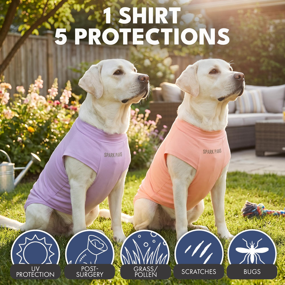 Spark Paws Sunblock Dog T-Shirt ideal fit across S-XXL for various breeds.