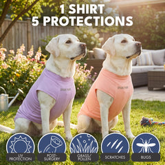 Spark Paws Sunblock Dog T-Shirt ideal fit across S-XXL for various breeds.