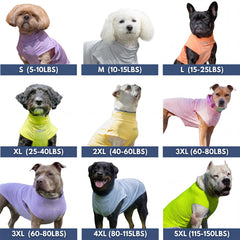 Lightweight breathable Spark Paws Sunblock Dog T-Shirt on a dog during summer