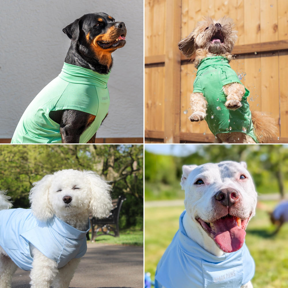Spark Paws blue mint dog tee set helps sun safety during sunny days