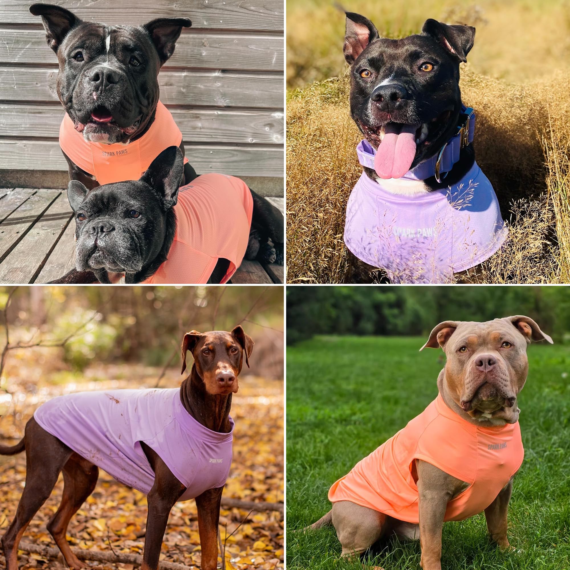Spark Paws Sunblock Dog T-Shirt packaging and set of two emphasizes value.