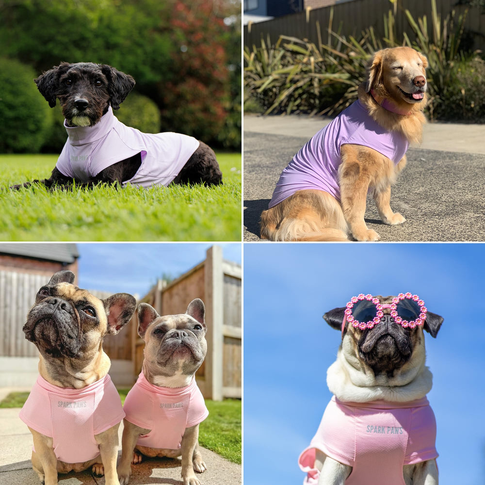 Spark Paws Sunblock size guide helps pick the right fit