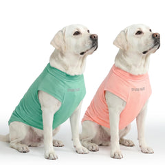 Spark Paws Sunblock SPF30 front view in peach mint for sunny walks