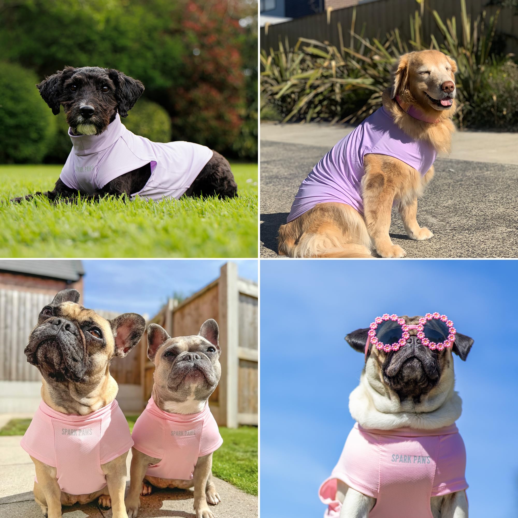 Spark Paws Sunblock set highlights washable, durable design for frequent use.