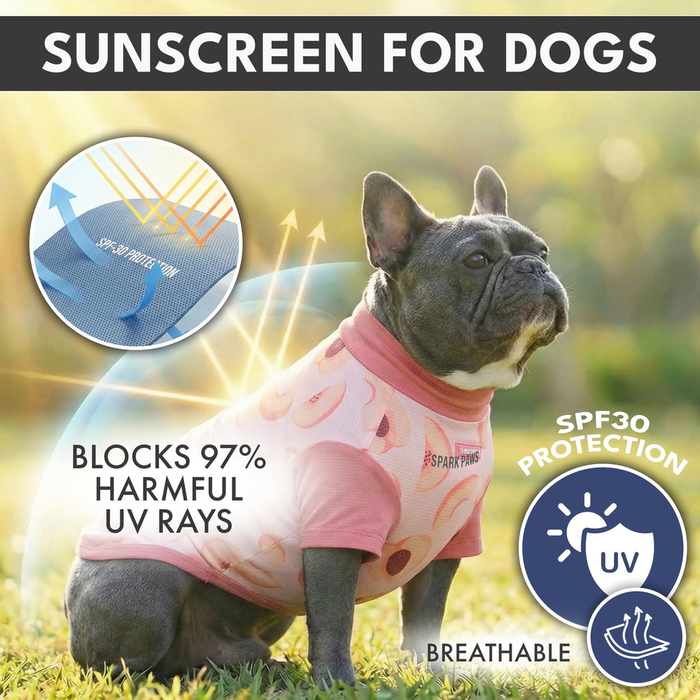 Spark Paws Sunblock Dog T-Shirt Watermelon-Peach back view showing durable coverage during outdoor play.