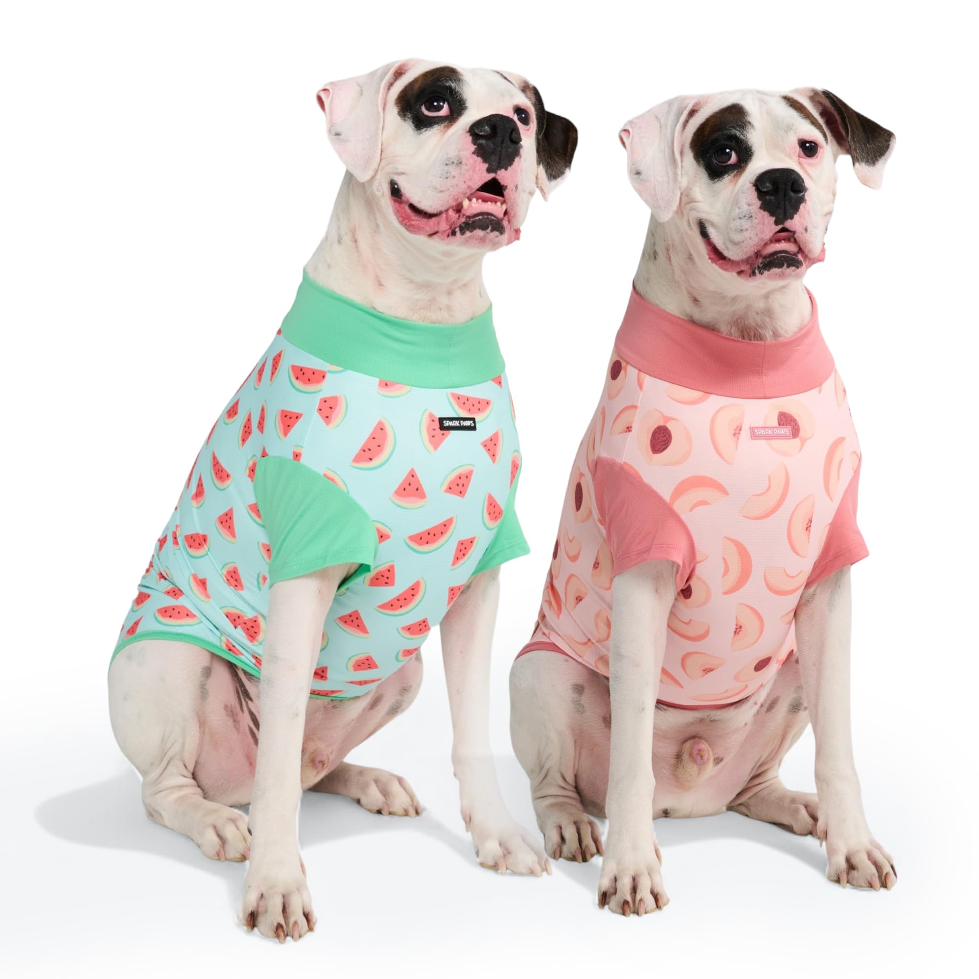 Spark Paws Sunblock Dog T-Shirt Watermelon-Peach front view with SPF30 protection for sunny walks.