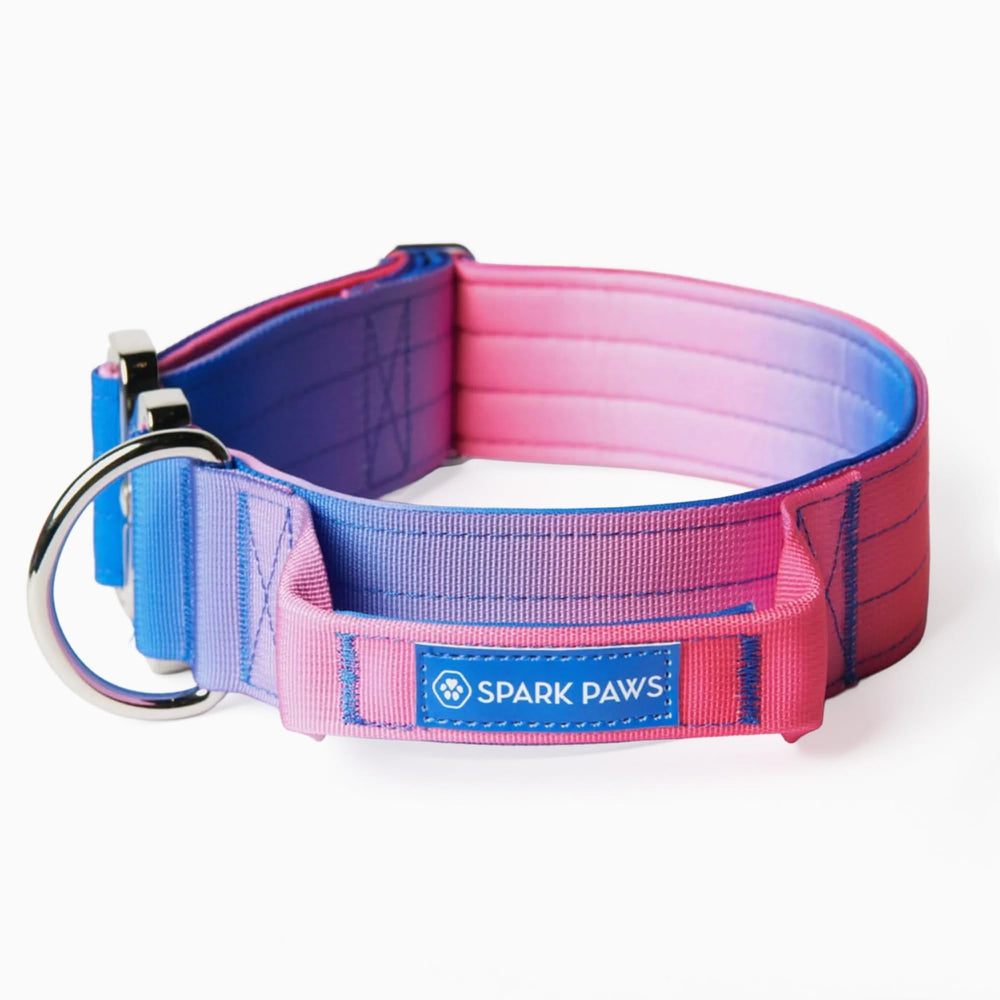 Spark Paws Tactical Collar with Handle closeup for confident control during training