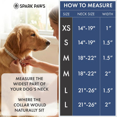 Spark Paws collar interior padding closeup shows soft neoprene comfort for sensitive skin
