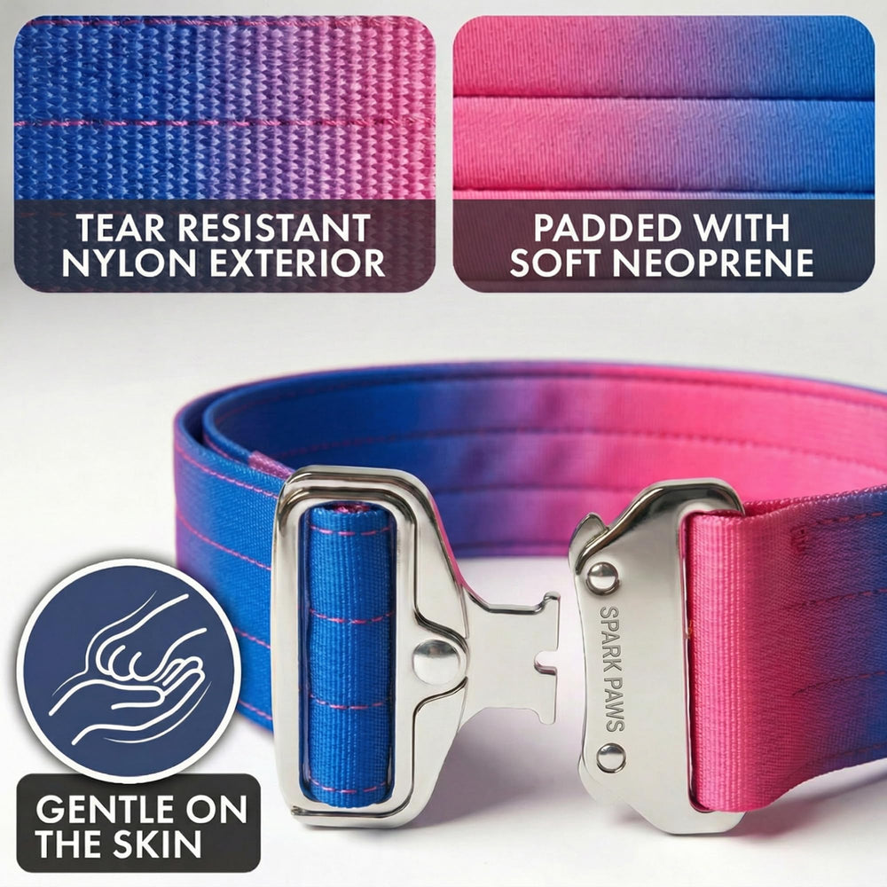 Spark Paws quick-release buckle in action for easy on/off during workouts