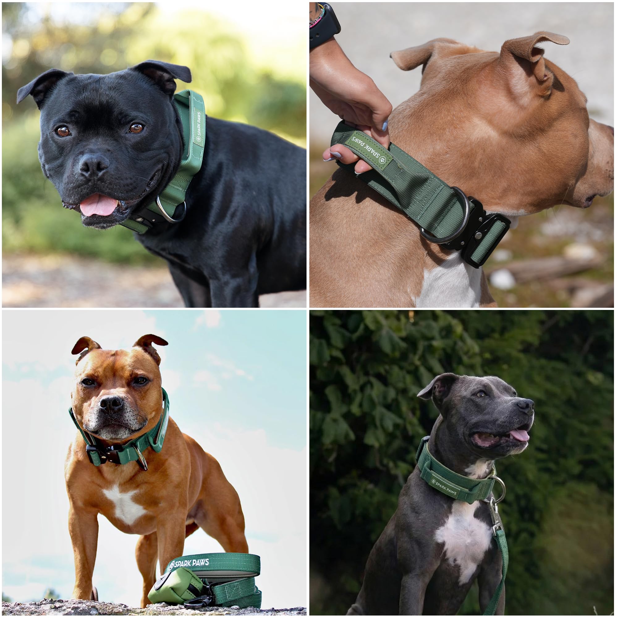 Spark Paws Tactical Collar large dog fit in solid green suits necks of bigger dogs.