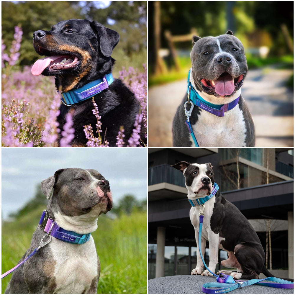 Spark Paws Tactical Collar quick-release buckle enables easy on/off