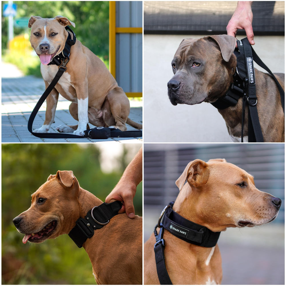 Spark Paws Tactical collar adjustable fit for medium and large dogs comfort.