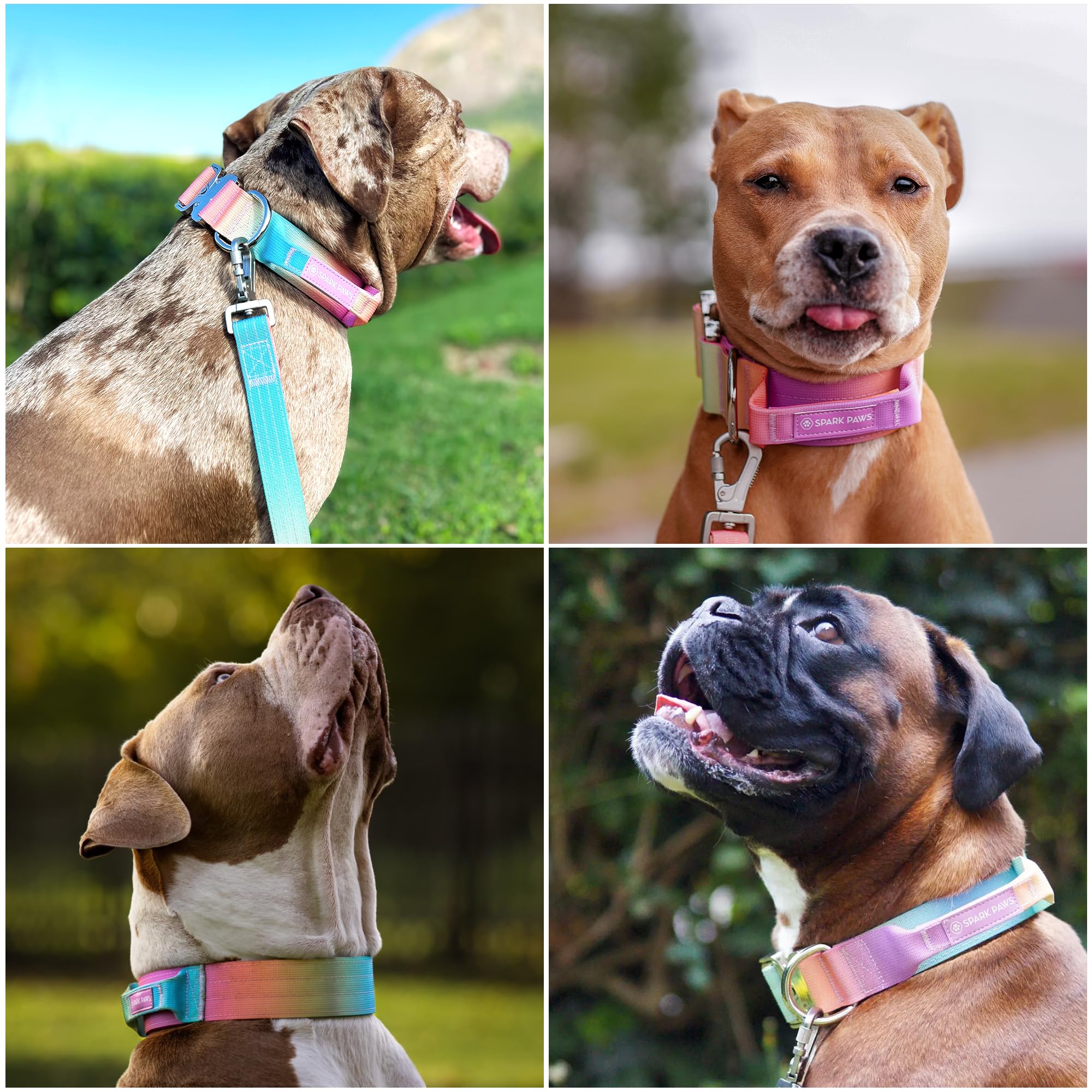 Spark Paws Tactical collar with durable nylon withstands outdoor adventures.