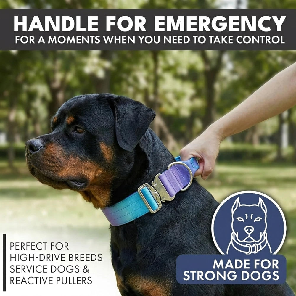 Spark Paws Tactical Collar handle for quick control during training or emergencies