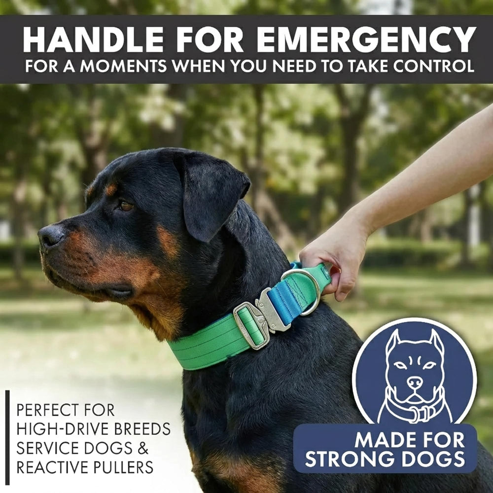 Spark Paws Tactical Collar handle closeup demonstrates quick control during training