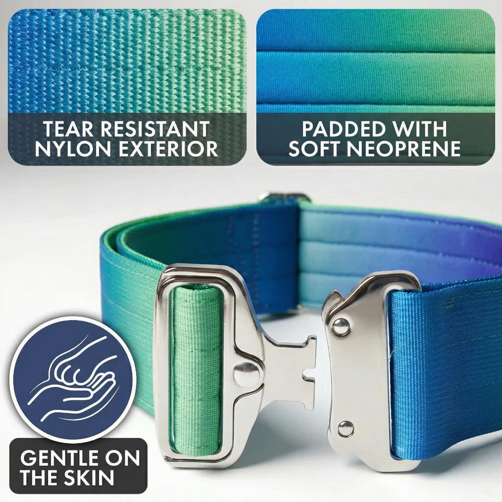 Spark Paws Nylon with metal buckle ensures lasting performance.