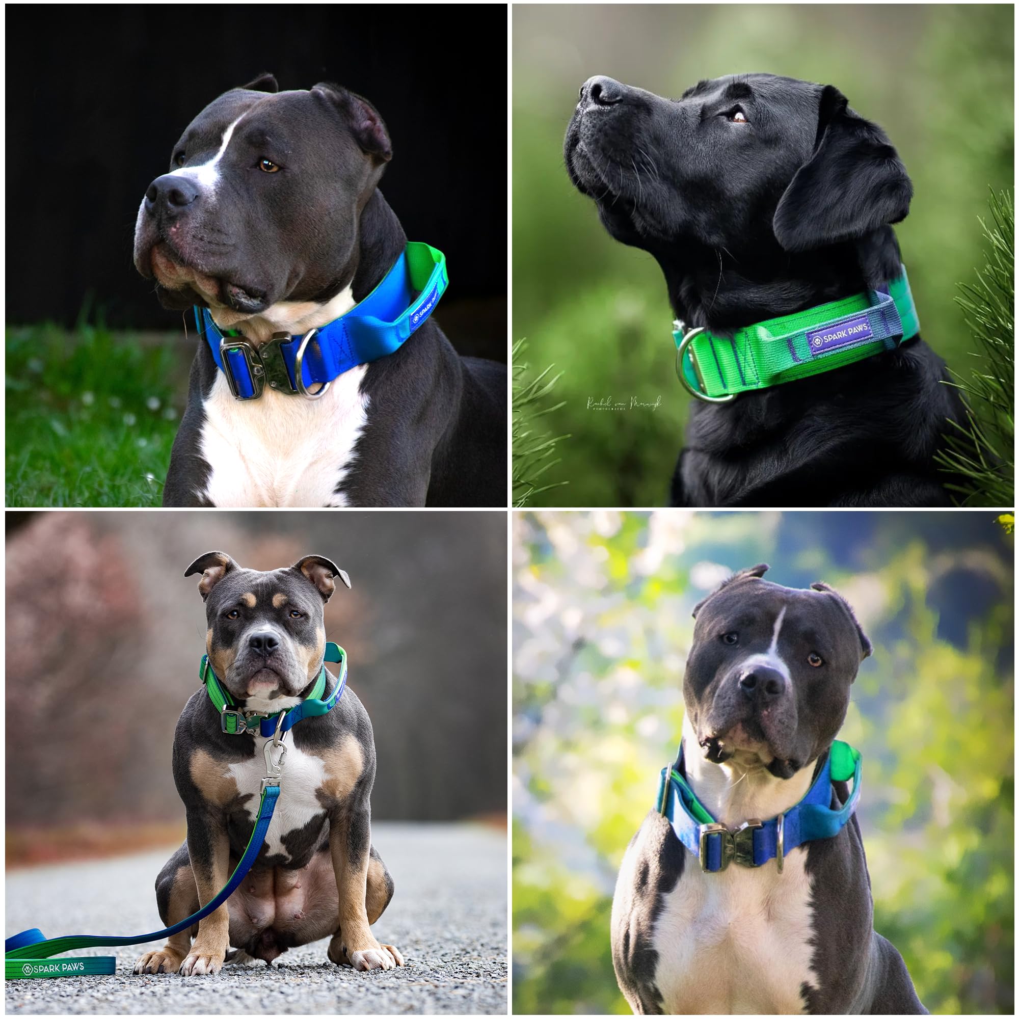 Spark Paws packaging image indicates ready-to-use premium collar
