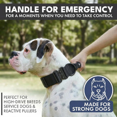 Spark Paws heavy-duty collar with premium nylon and metal buckle for lasting durability.
