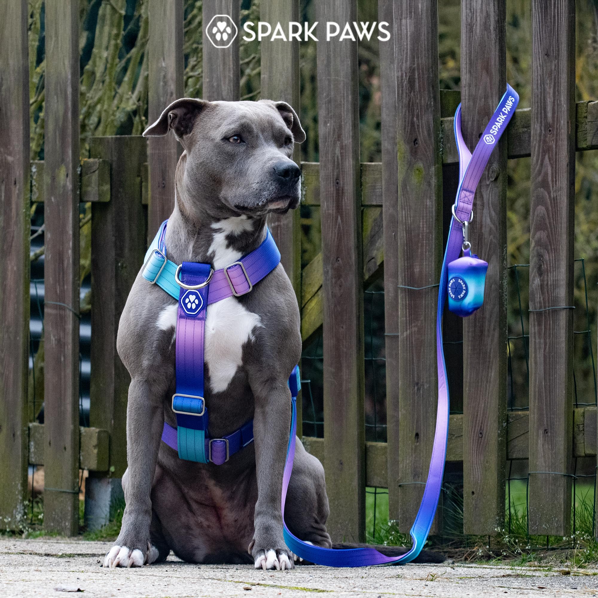 Spark Paws Y-shaped harness supports comfortable movement for big breeds
