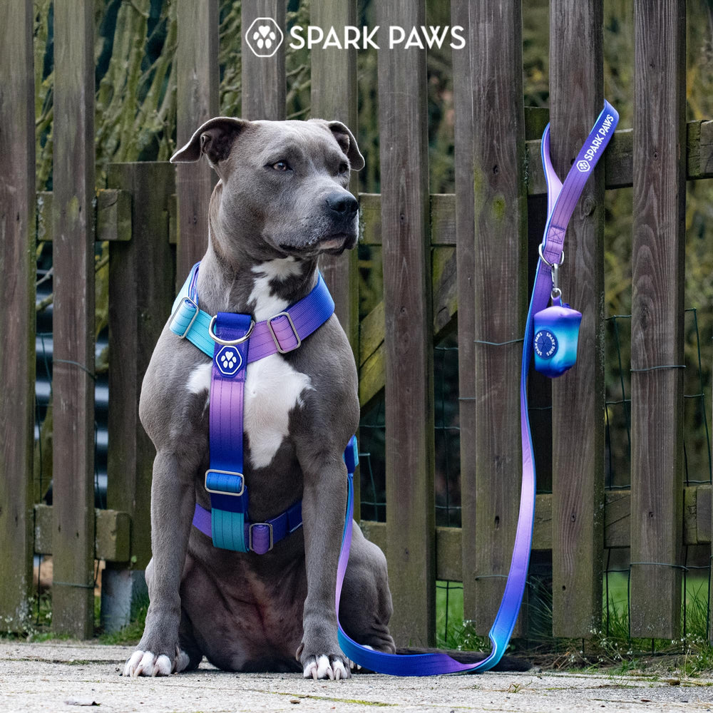 Spark Paws Y-shaped harness supports comfortable movement for big breeds