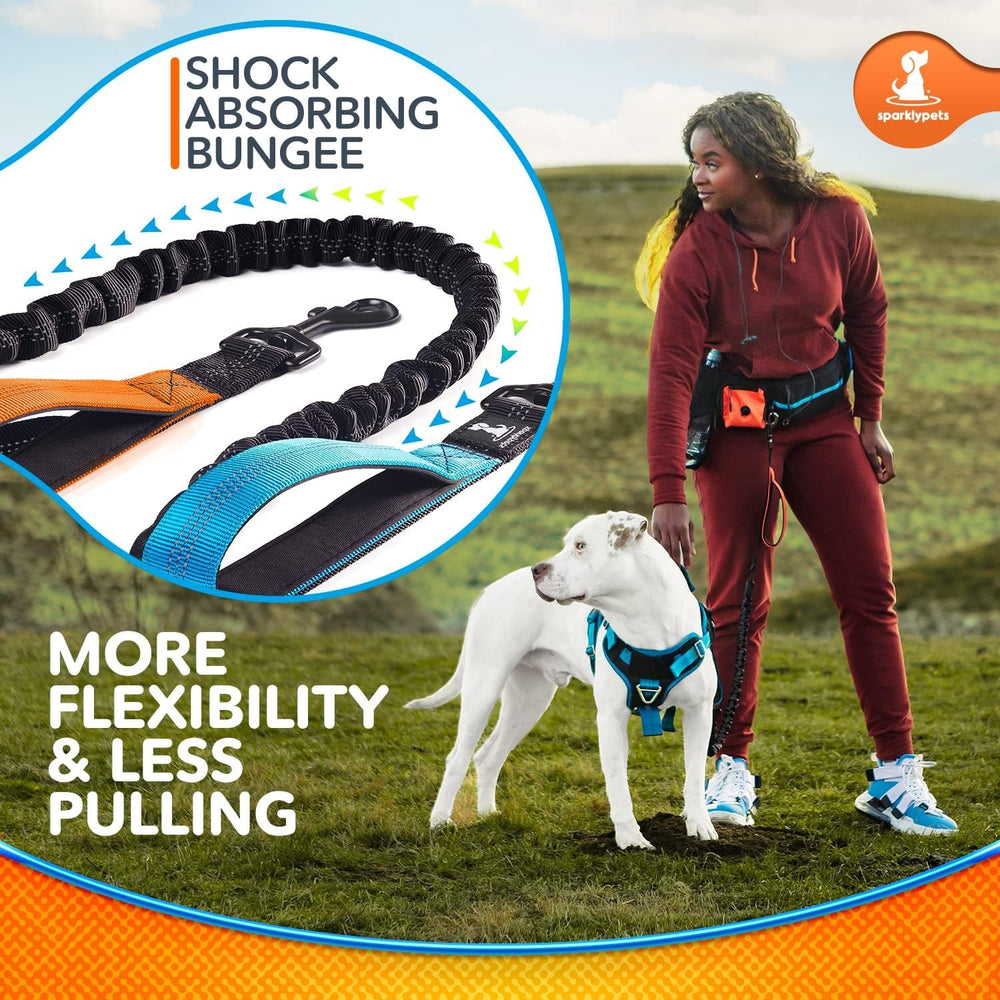SparklyPets Active Waist Leash reflective strap for night safety.