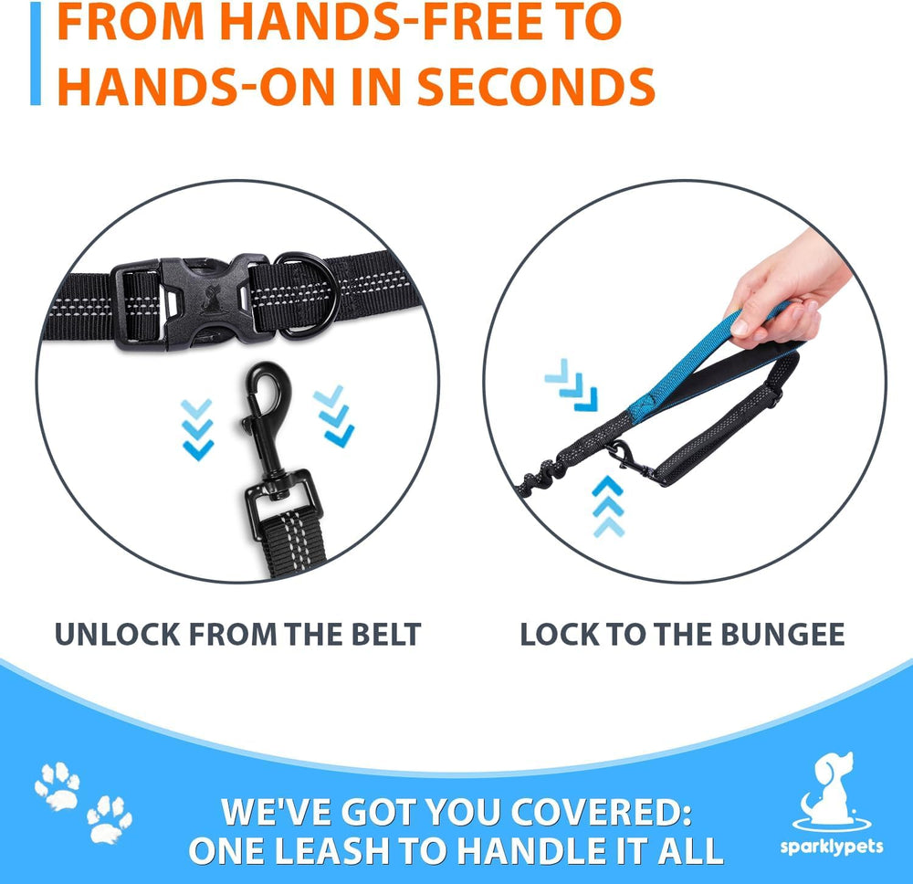 SparklyPets bungee absorbs shocks for smoother small-dog jogs