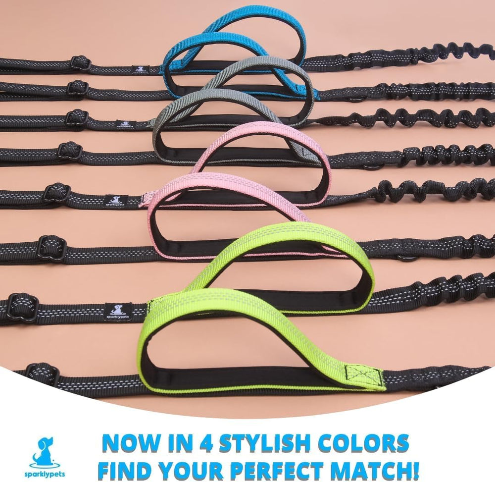 SparklyPets compact belt design supports easy carry on hikes