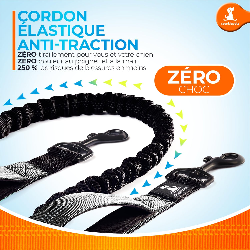 SparklyPets control-handle on the bungee delivers firm, smooth control