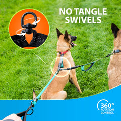 SparklyPets dual leash with 360° rotation prevents tangles during walks.