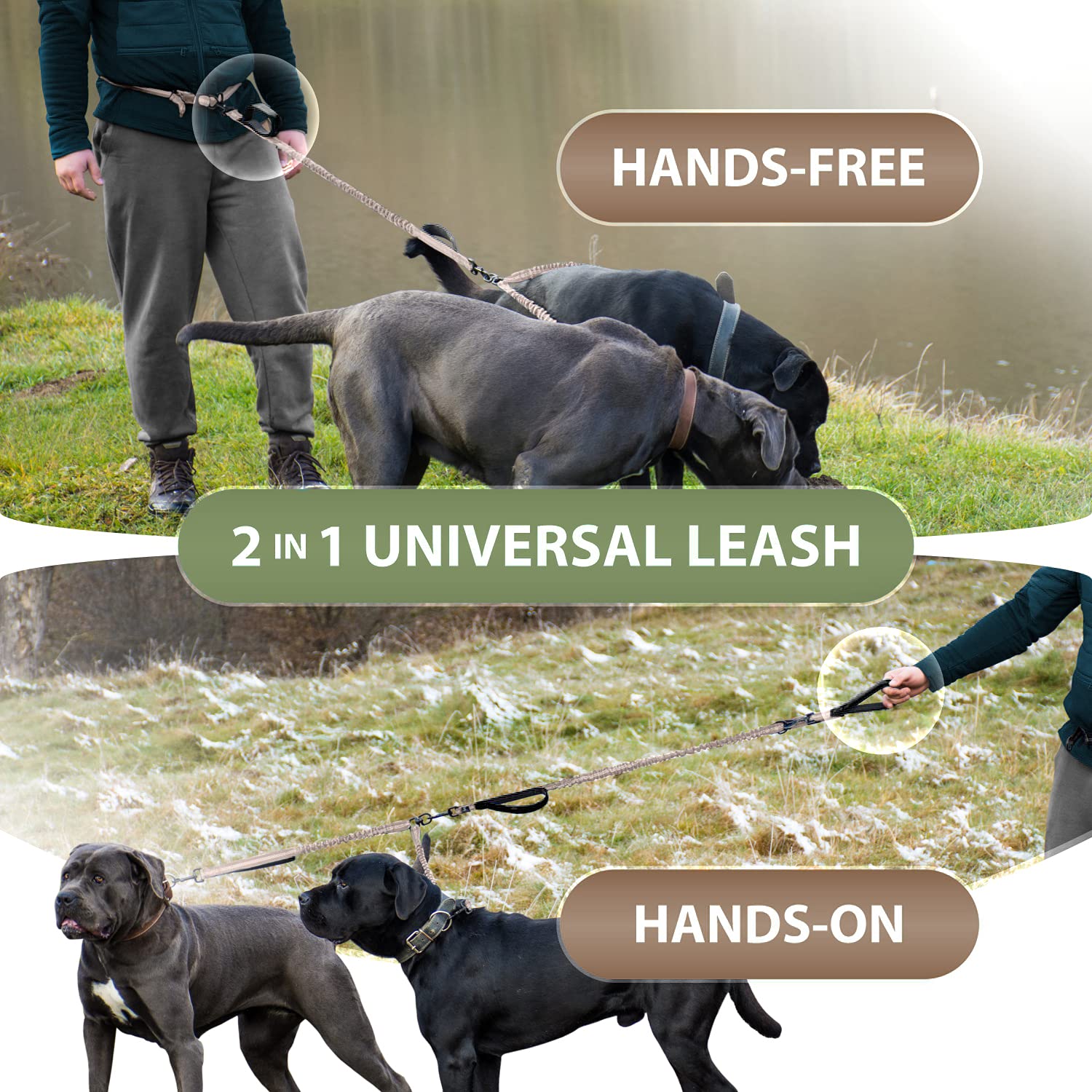 SparklyPets Four Foam-Padded Handles provide cushioned control on busy walks.