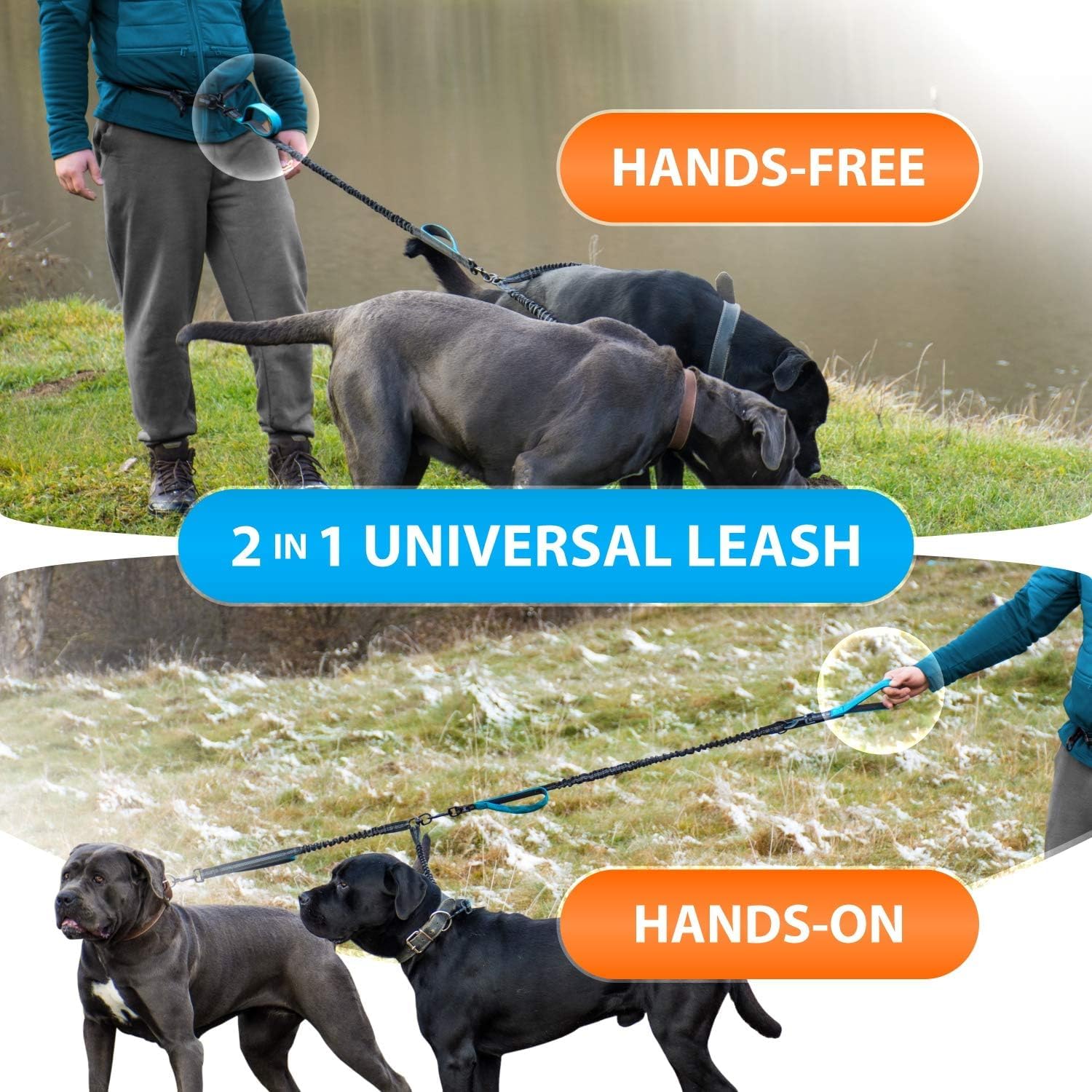 SparklyPets four foam-padded handles offer multiple control points.