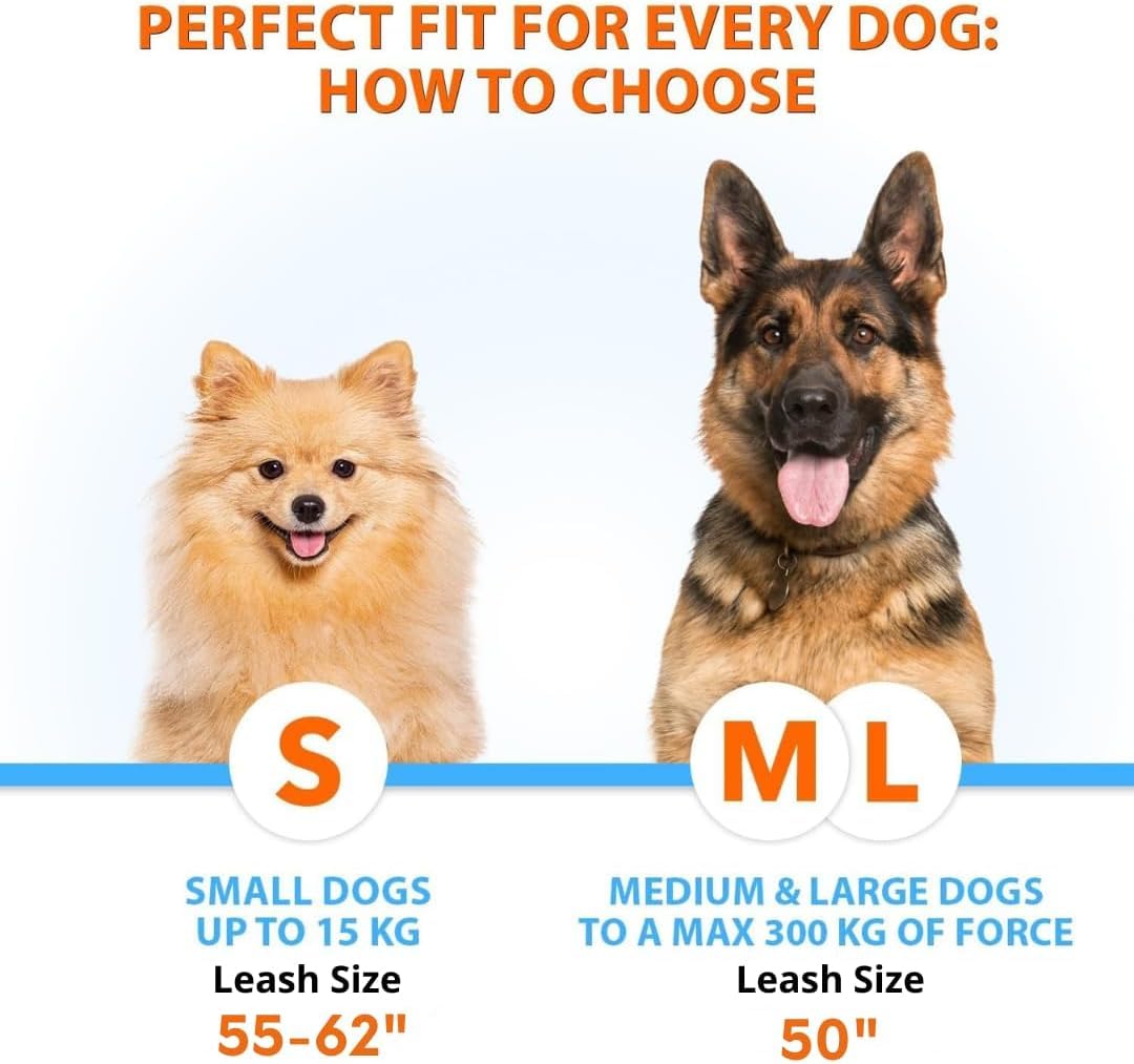 SparklyPets no pull bungee leash reduces strain on walks with two dogs.