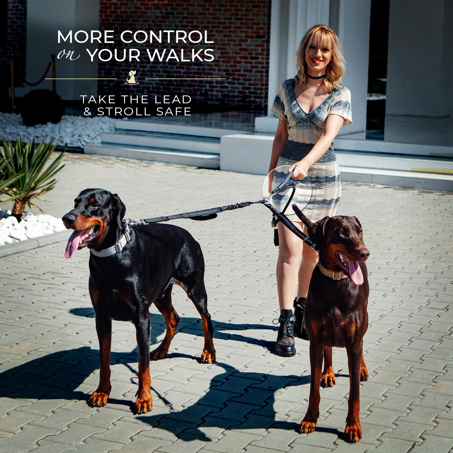 SparklyPets setup on urban walk showing dual leash in action.